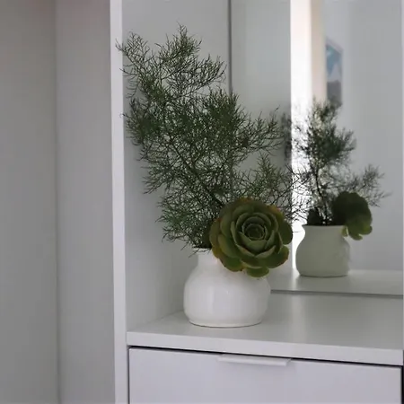 Adega Do Xelica - Arcos (Pico)